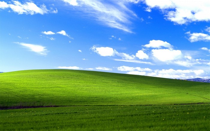Testing_name